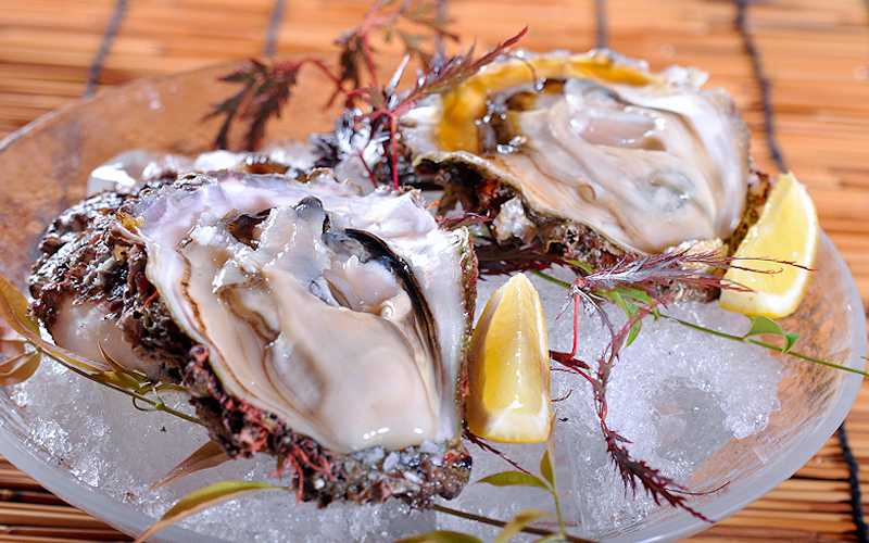 夏が旬の天然岩牡蠣